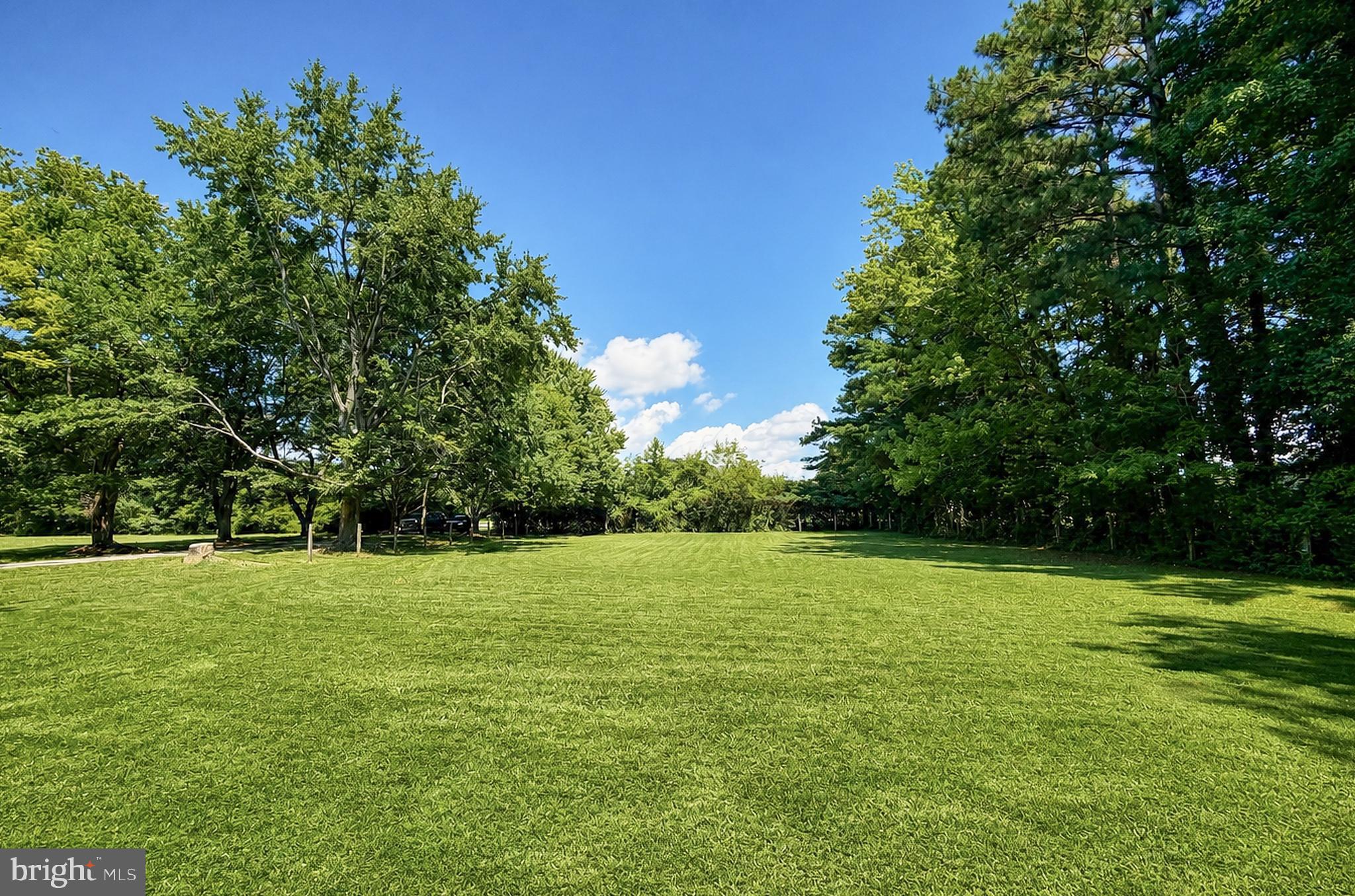 17773 Piney Point Road Piney Point, MD 20674 - Photo 50 of 67 Level and healthy yard!!