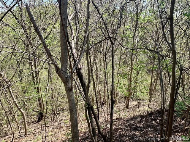 $99,000 | 0 North Skyline Drive, Sellersburg, IN 47172