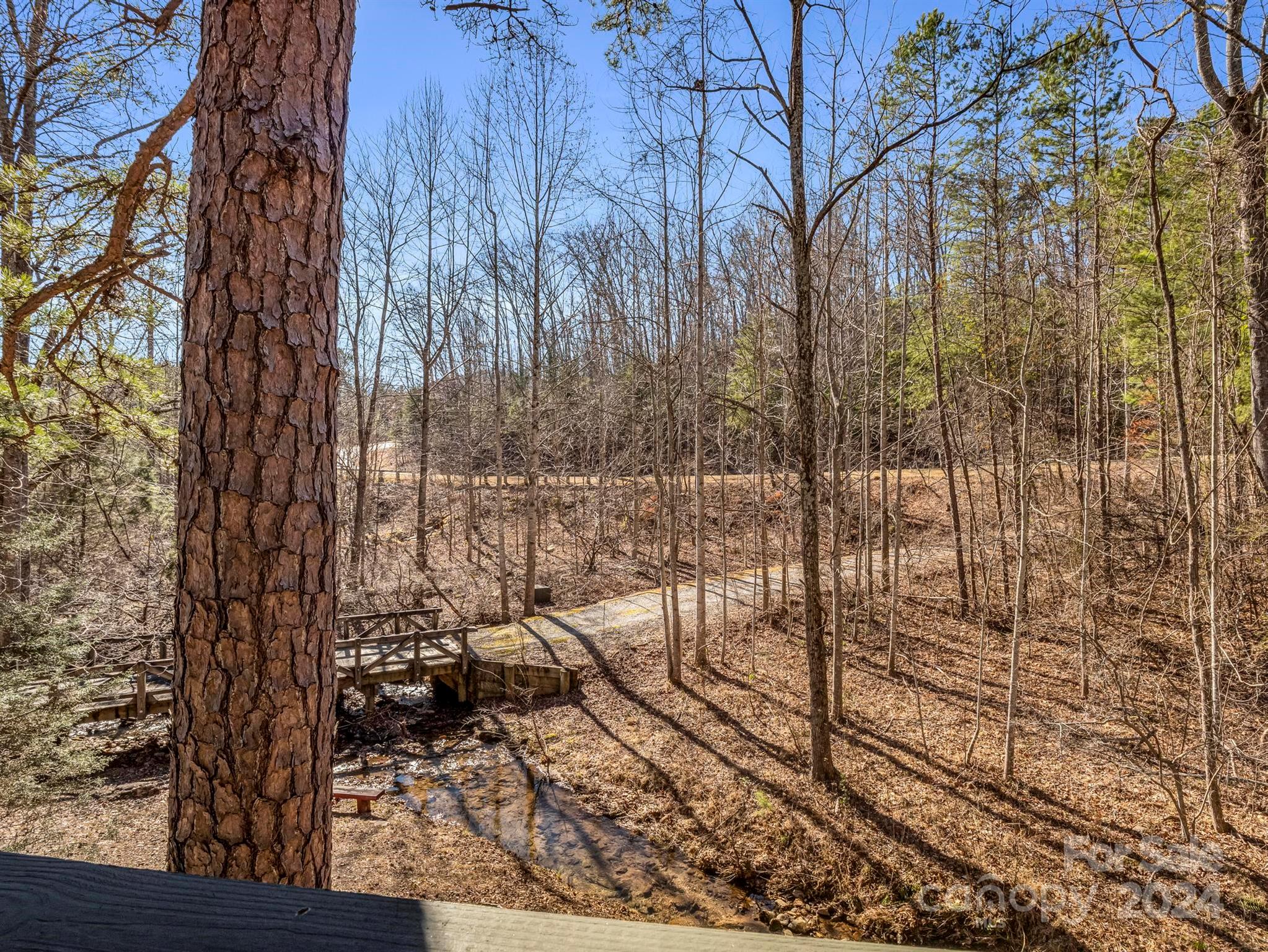 1873 Deep Gap Farm Road East Mill Spring, NC 28756 - Photo 17 of 45