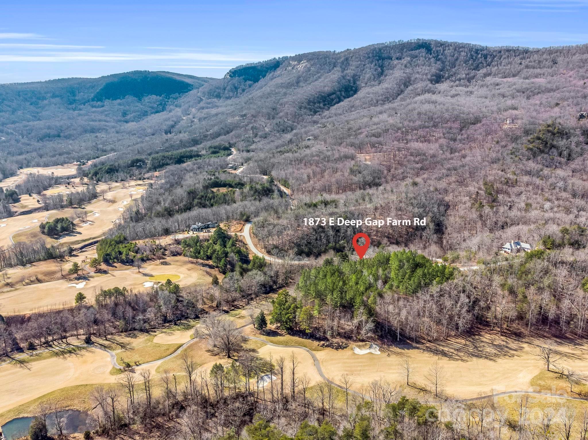 1873 Deep Gap Farm Road East Mill Spring, NC 28756 - Photo 2 of 45