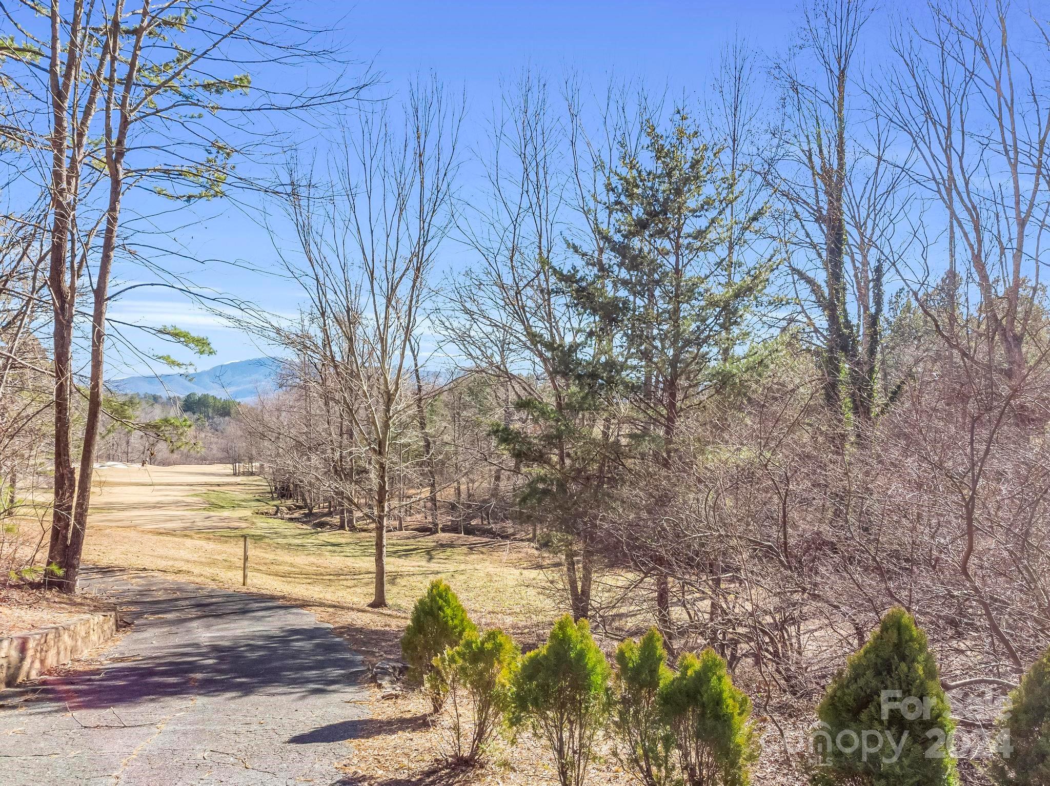 1873 Deep Gap Farm Road East Mill Spring, NC 28756 - Photo 28 of 45