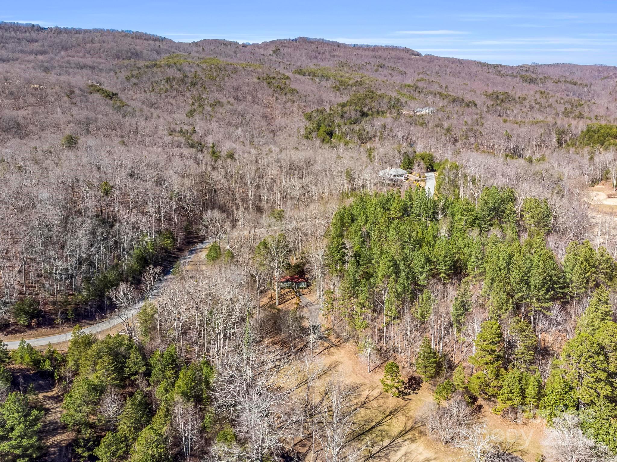 1873 Deep Gap Farm Road East Mill Spring, NC 28756 - Photo 31 of 45