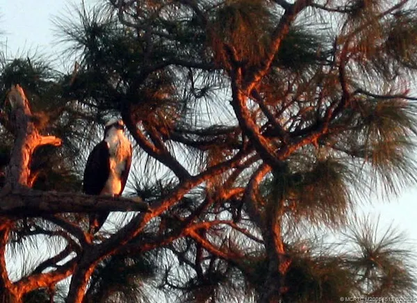 a view of ocean view