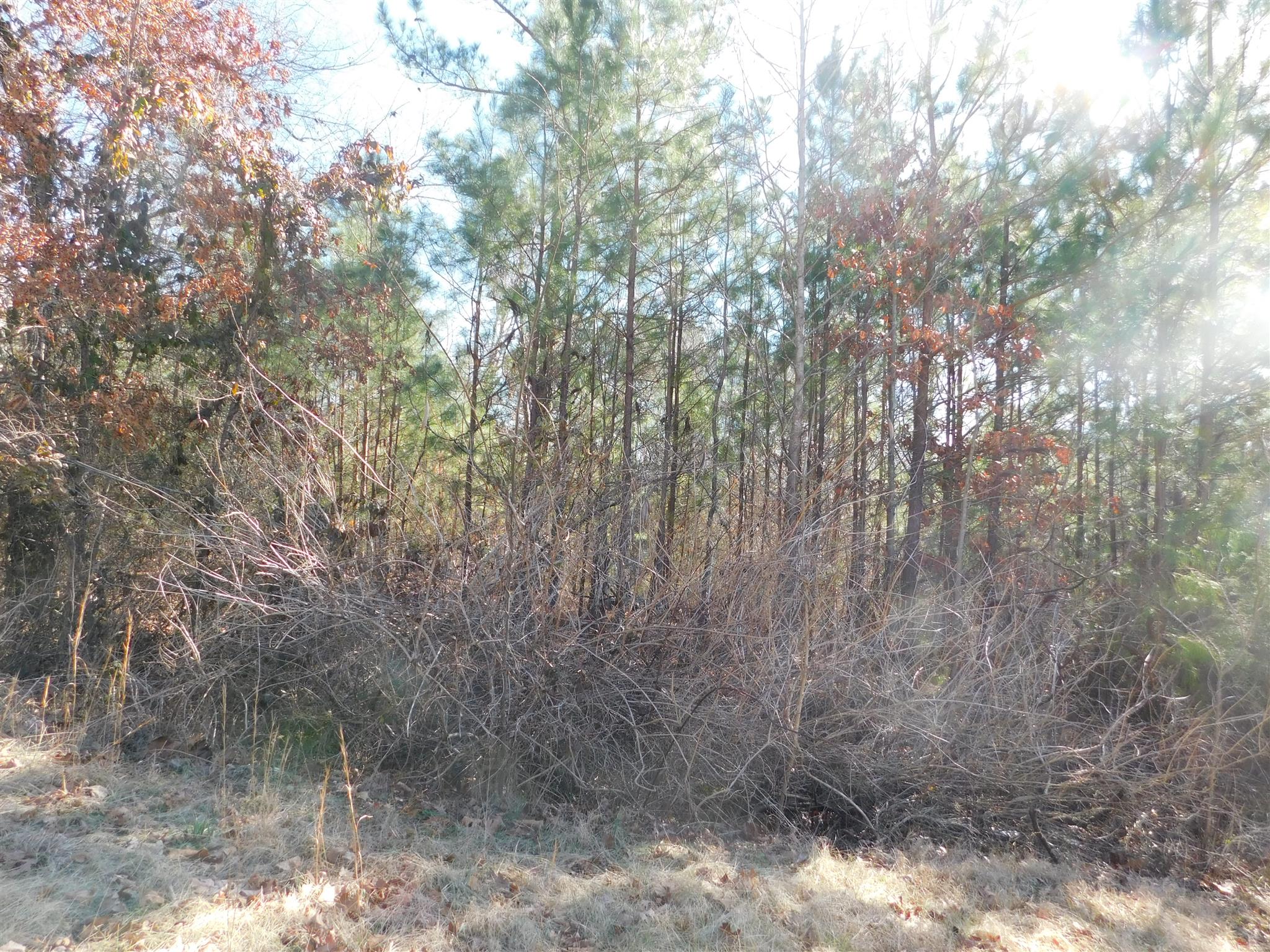 6893 Clydeton Road Waverly, TN 37185 - Photo 12 of 29 Gallery Image 12