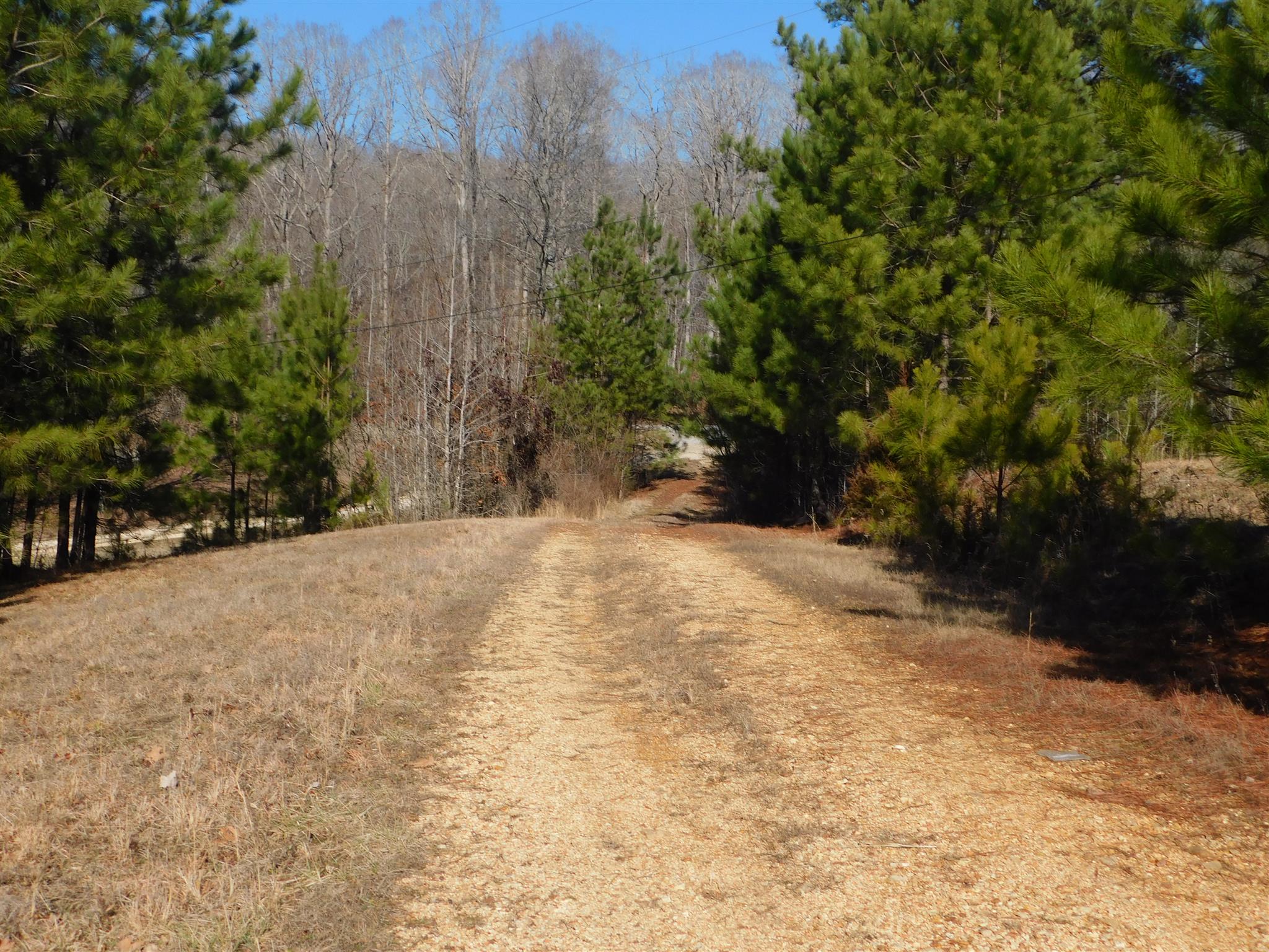 6893 Clydeton Road Waverly, TN 37185 - Photo 14 of 29 Gallery Image 14