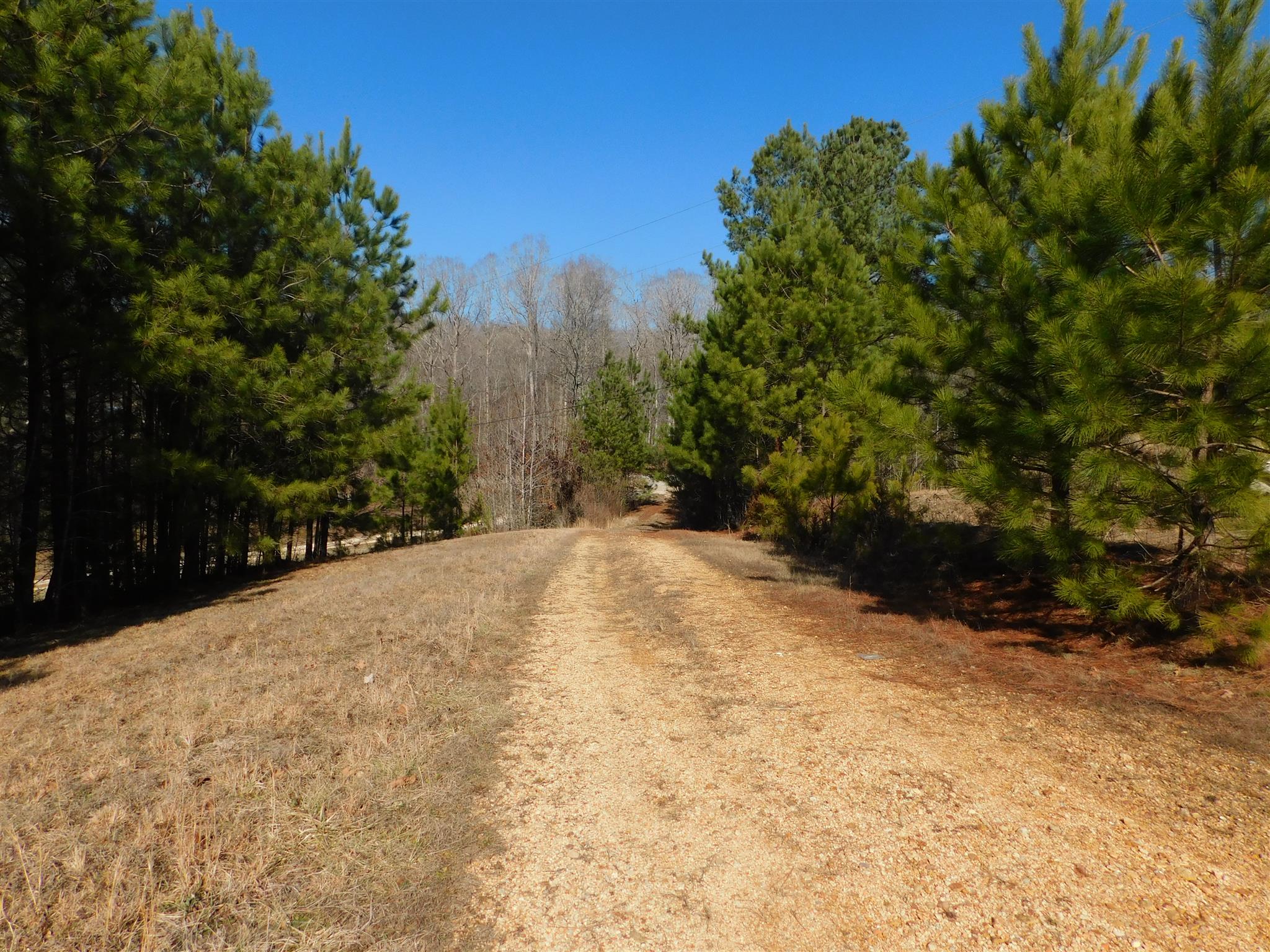 6893 Clydeton Road Waverly, TN 37185 - Photo 15 of 29 Gallery Image 15