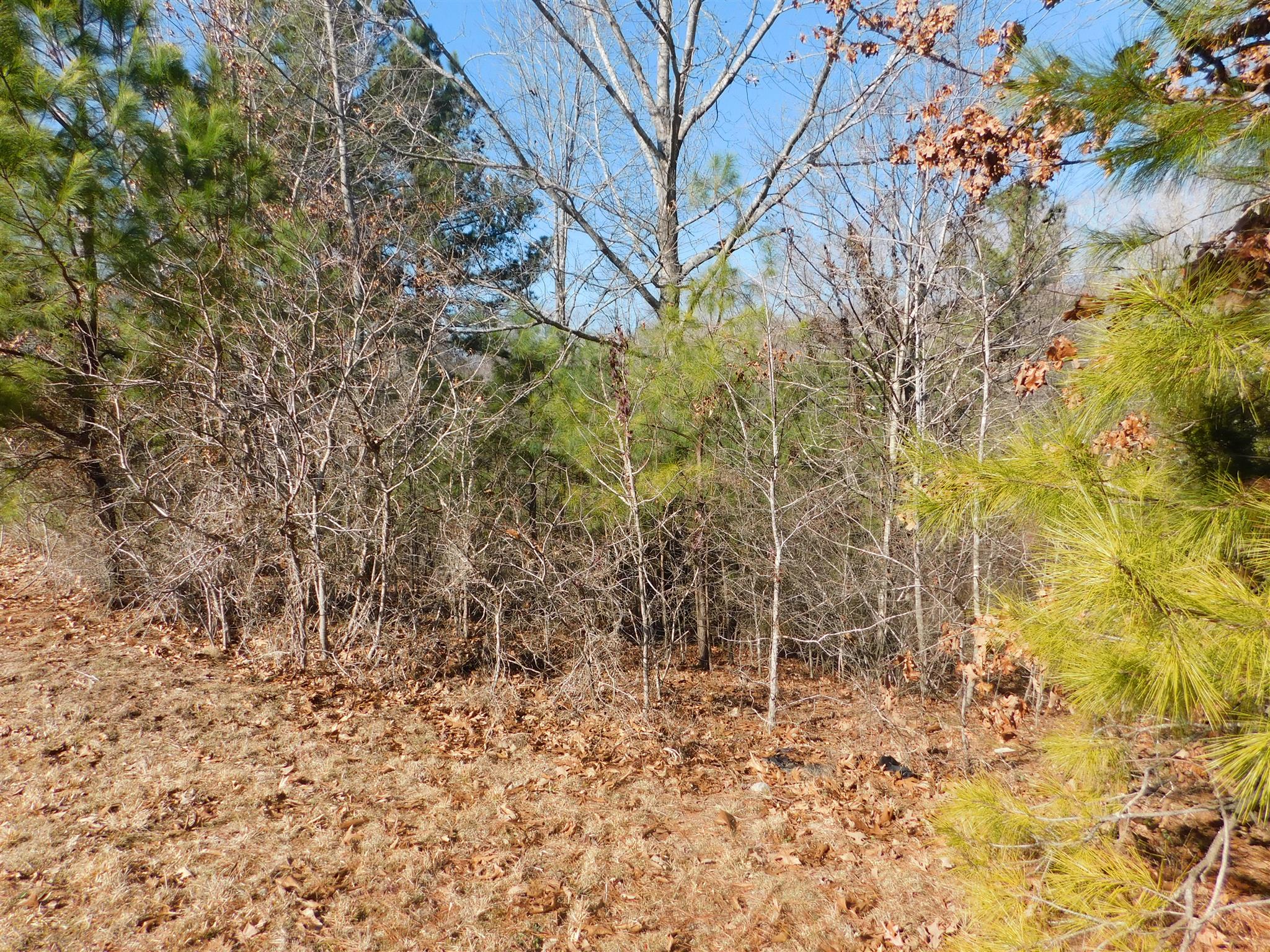 6893 Clydeton Road Waverly, TN 37185 - Photo 16 of 29 Gallery Image 16