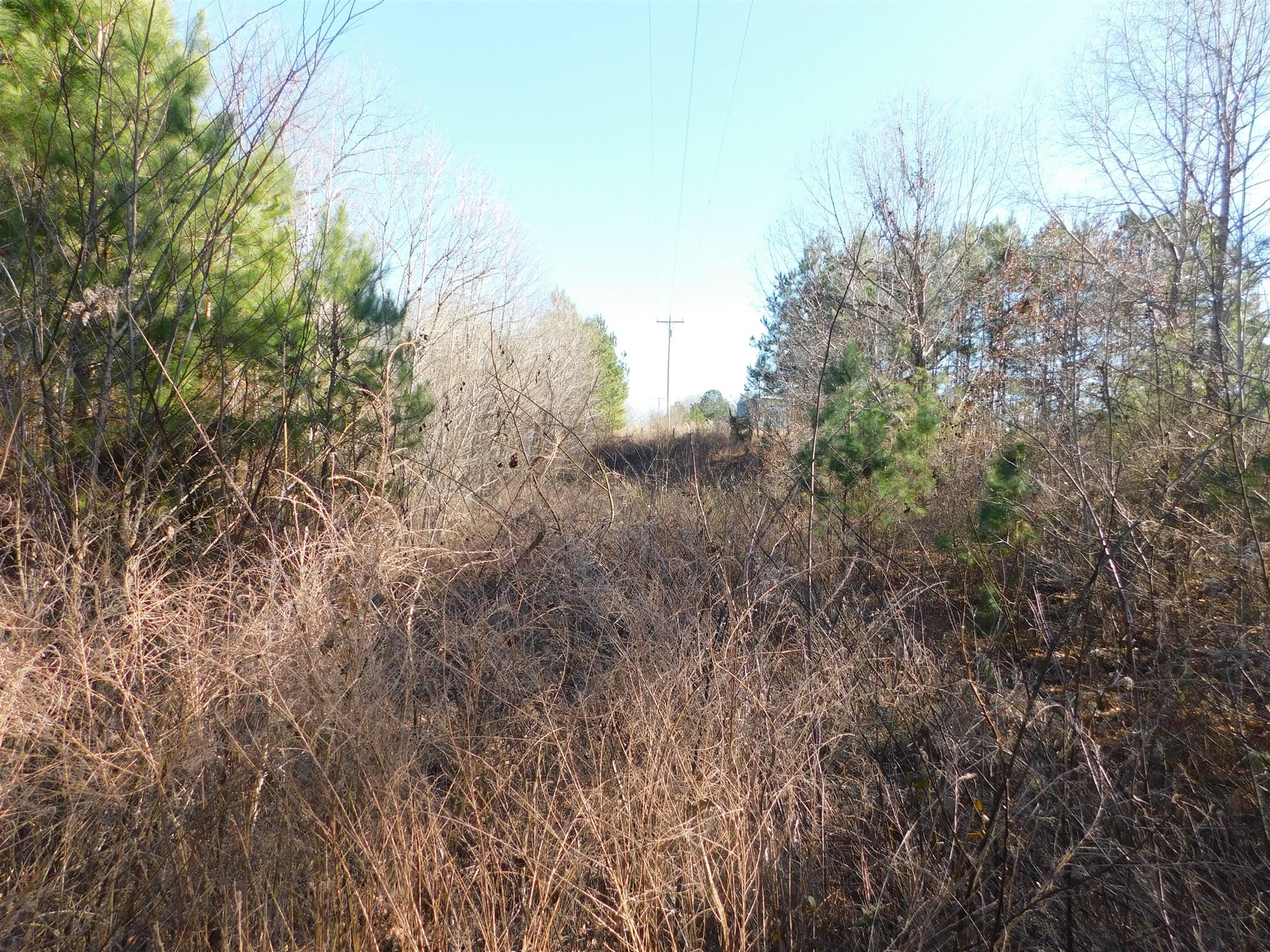 6893 Clydeton Road Waverly, TN 37185 - Photo 17 of 29 Gallery Image 17