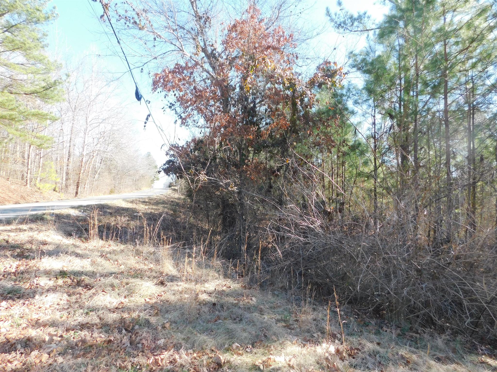 6893 Clydeton Road Waverly, TN 37185 - Photo 22 of 29 Gallery Image 22