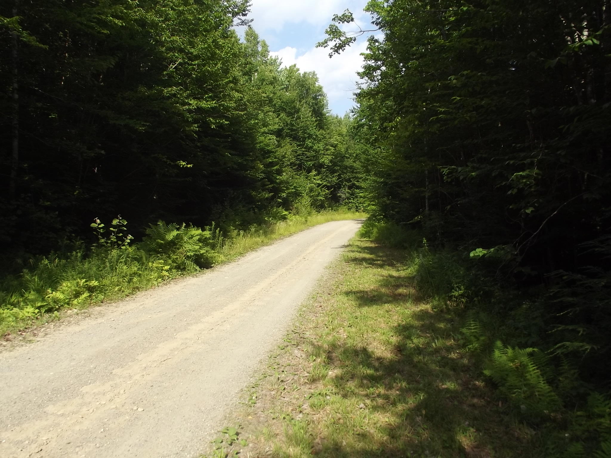 400 Old Tower Road Lakeville, ME 04487 - Photo 26 of 32 DSCF7338