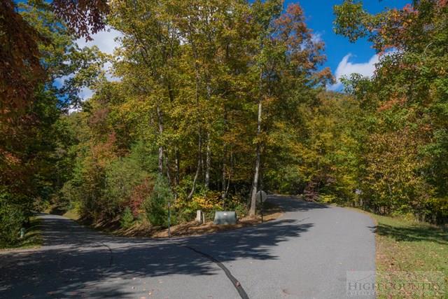 Lot 46 Fire Pink Road Boone, NC 28607 - Photo 4 of 10 Gallery Image 4
