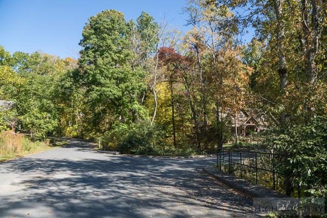 Lot 46 Fire Pink Road Boone, NC 28607 - Photo 8 of 10 Gallery Image 8