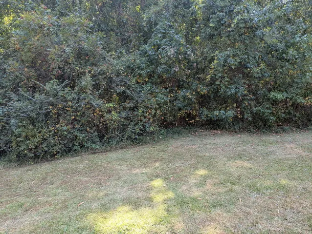 $1,200 | 609 Rucker Drive North, St. Matthews, SC 29135