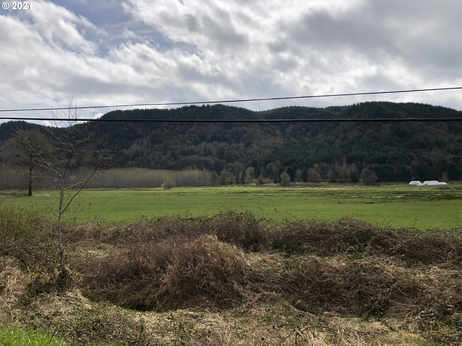 Colvin Road Clatskanie, OR 97016 - Photo 1 of 4 a view of a grassy field with trees
