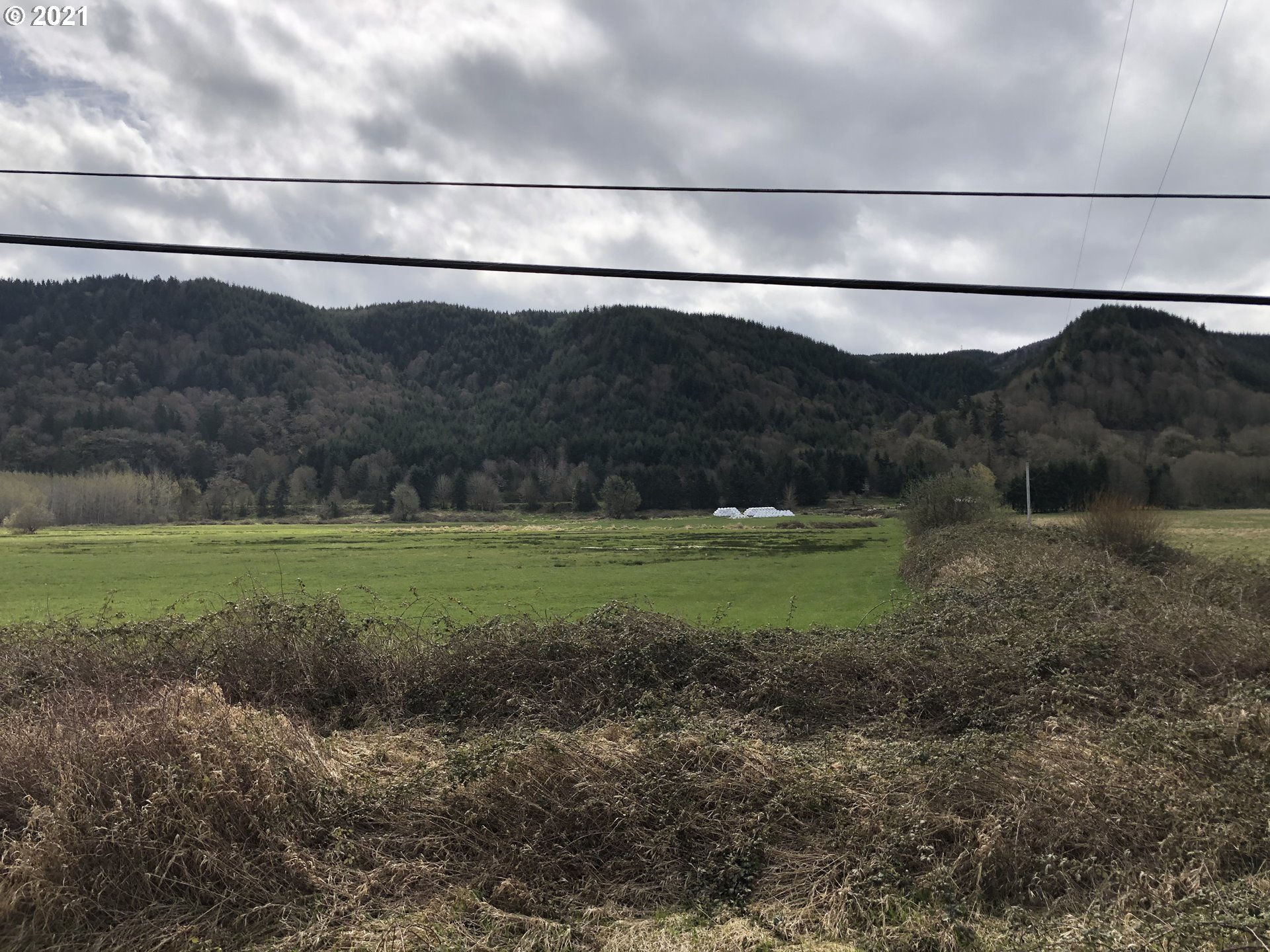 Colvin Road Clatskanie, OR 97016 - Photo 3 of 4 a view of a field with a field