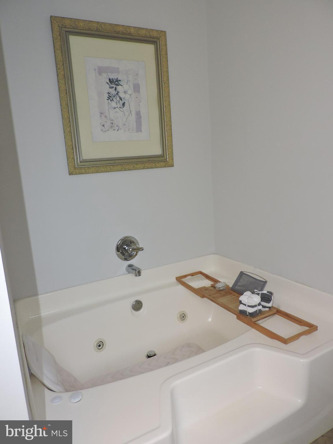 240 Johnstown Road Elkton, MD 21921 - Photo 14 of 30 Bath (Master)