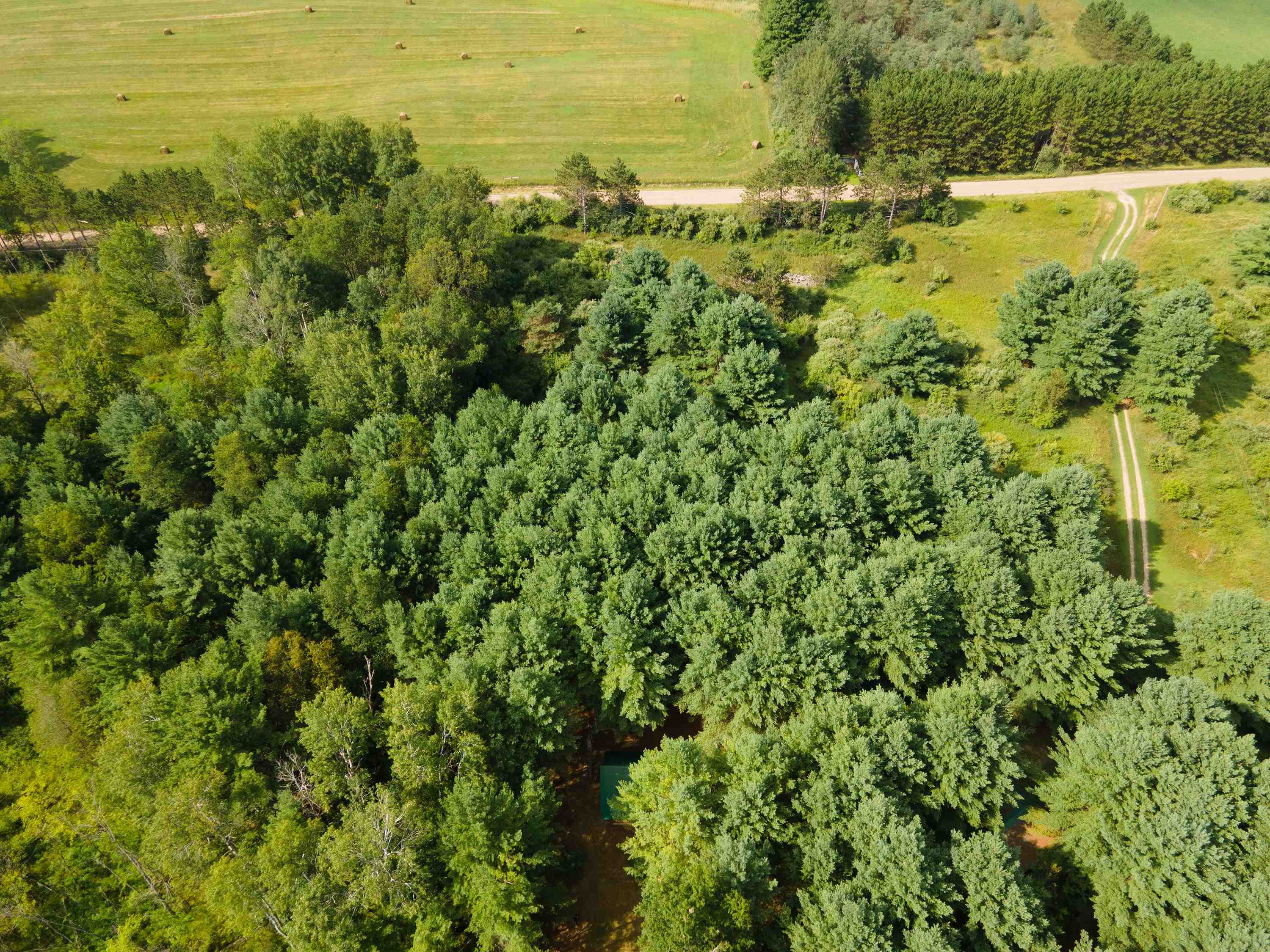 9715 West Denver Road Weidman, MI 48893 - Photo 9 of 9