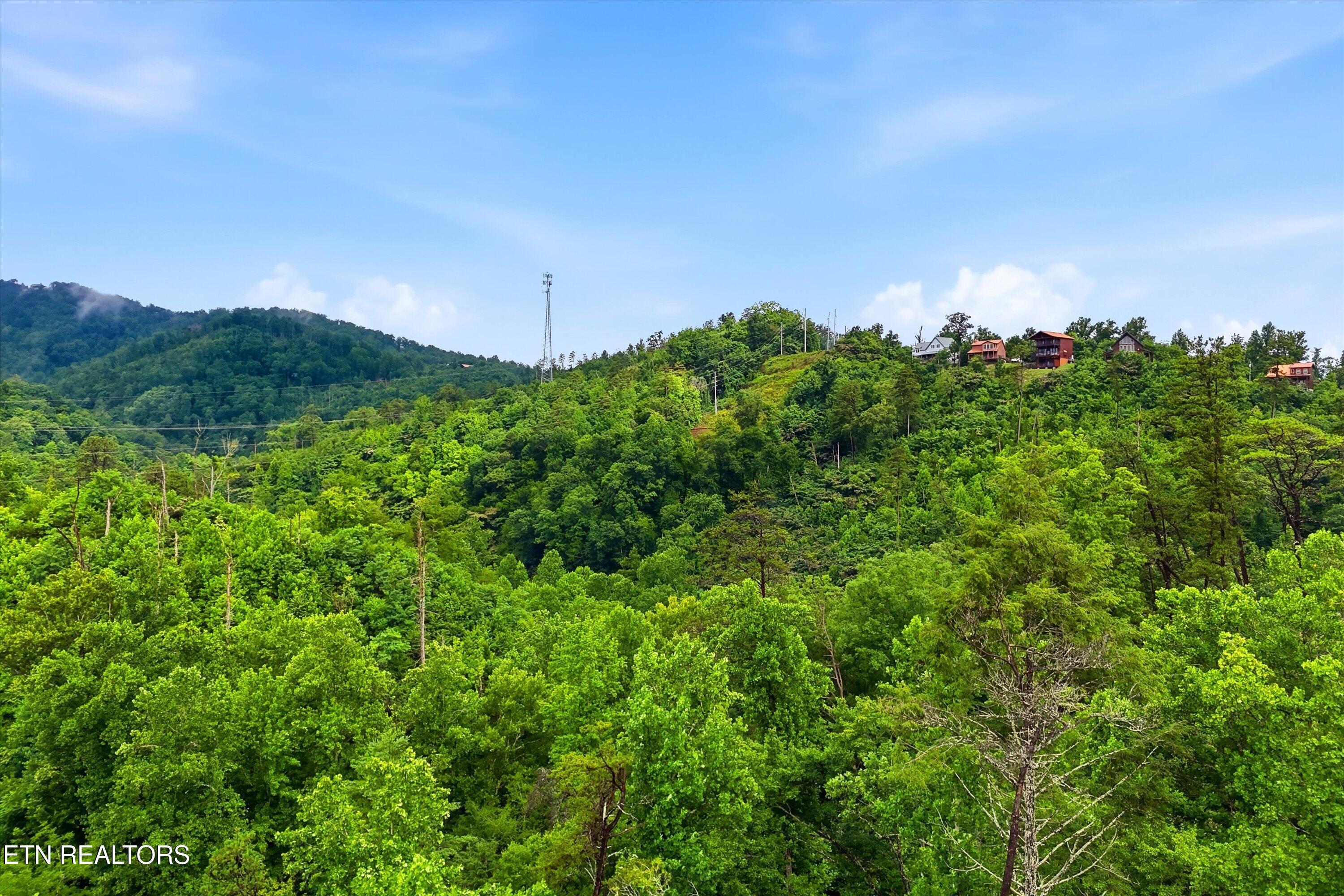 127 Beech Branch Road Gatlinburg, TN 37738 - Photo 11 of 18 18-FINAL-18