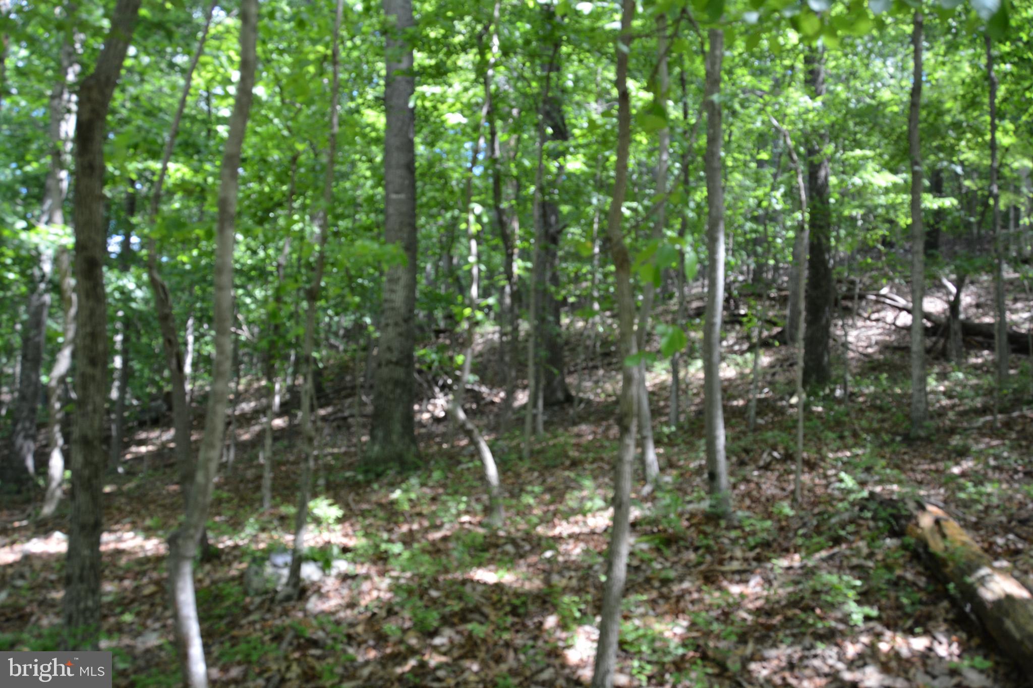 59 60 61 Baldwin Road Front Royal, VA 22630 - Photo 12 of 23