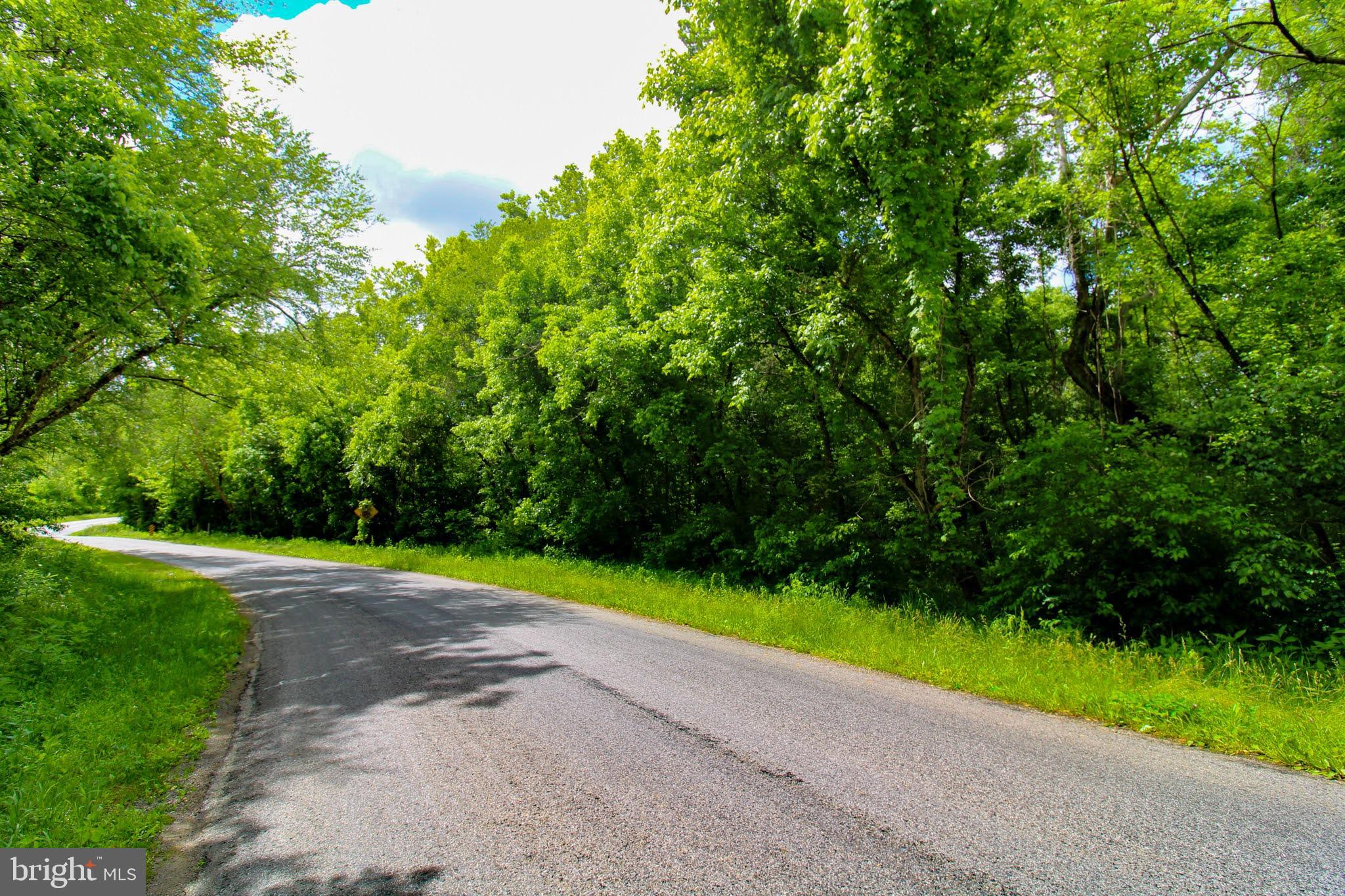Tbd Cross Stitch Road, Unit 2E Dry Fork, VA 24549 - Photo 5 of 12