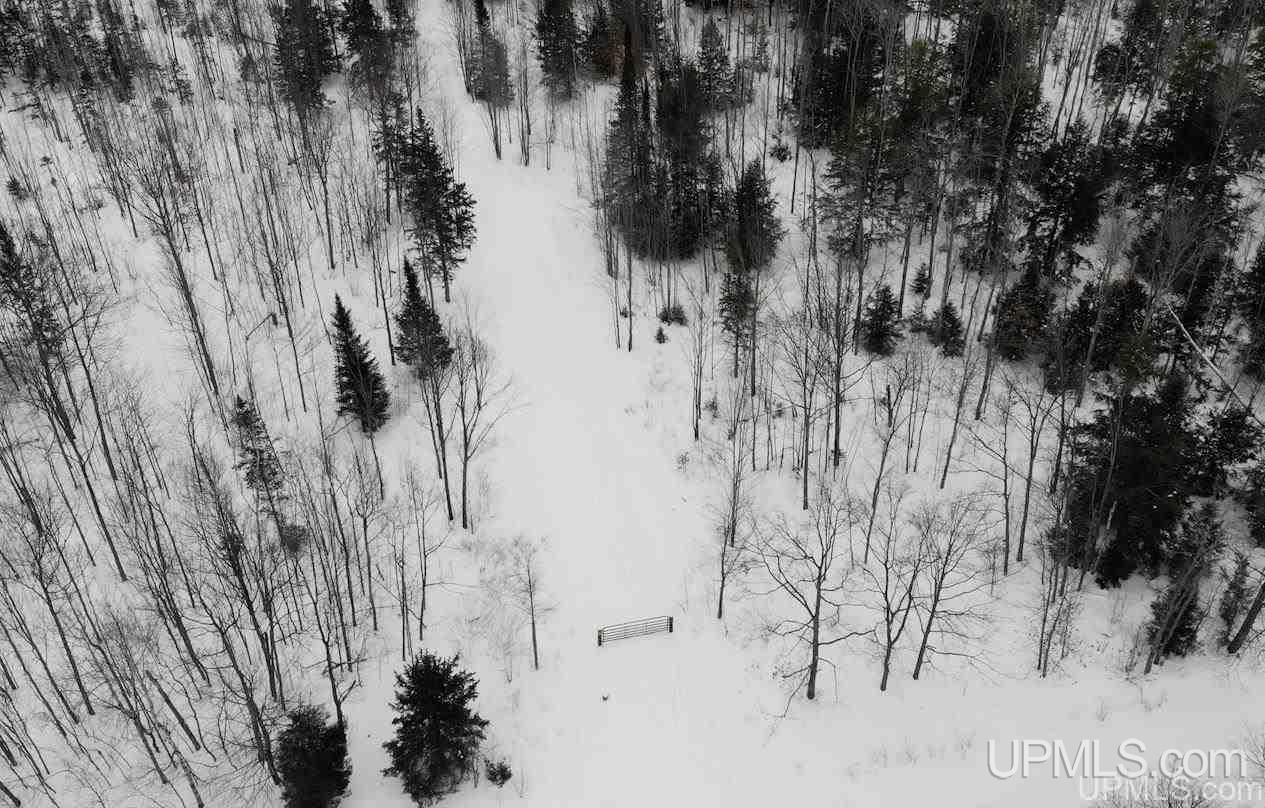 Tbd Old Rink Road Toivola, MI 49965 - Photo 6 of 31 Gallery Image 6