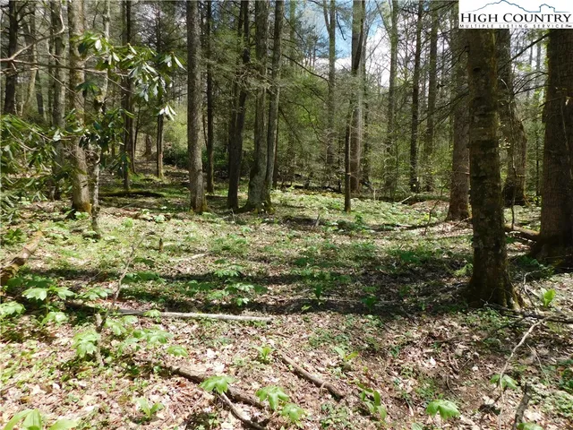 $49,500 | Tbd Lot 26 Tbd Trail, Newland, NC 28657