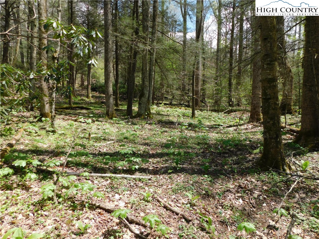 Tbd Lot 26 Tbd Trail Newland, NC 28657 - Photo 2 of 5