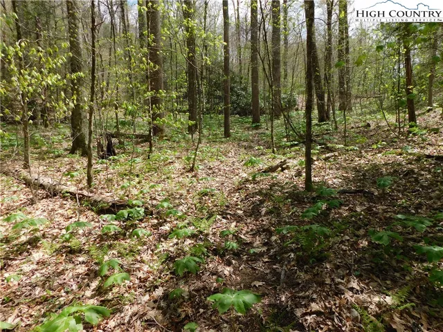 $49,500 | Tbd Lot 26 Tbd Trail, Newland, NC 28657