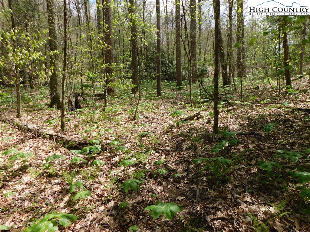 Tbd Lot 26 Tbd Trail Newland, NC 28657 - Photo 4 of 5