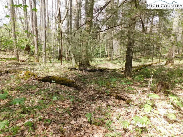$49,500 | Tbd Lot 26 Tbd Trail, Newland, NC 28657