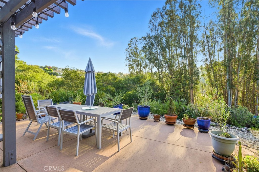 649 Asilo Arroyo Grande, CA 93420 - Photo 3 of 39 a view of a patio with a table and chairs and potted plants