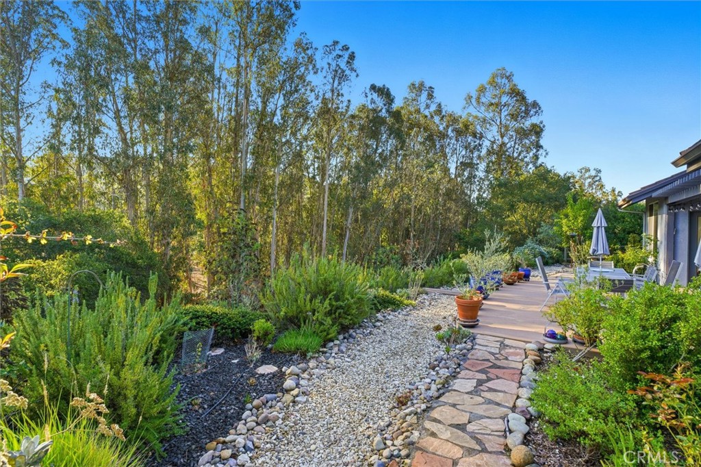 649 Asilo Arroyo Grande, CA 93420 - Photo 33 of 39 a view of a backyard with plants and large trees