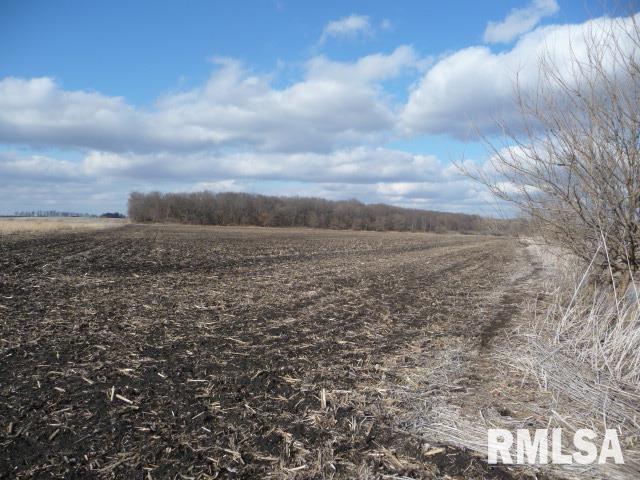 Town Hall Road Prophetstown, IL 61277 - Photo 4 of 5
