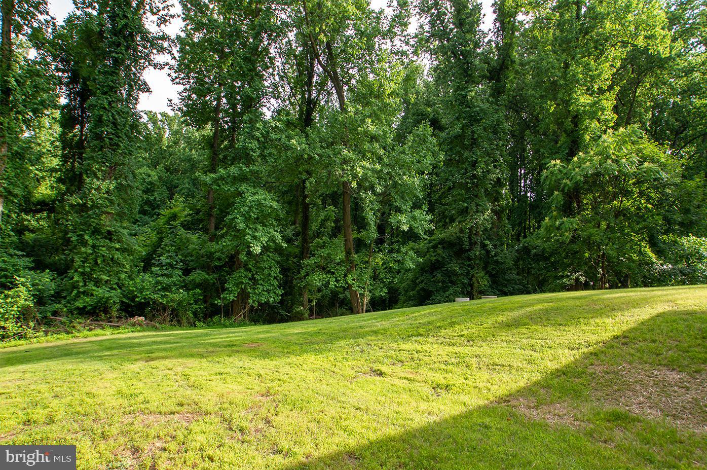 4725 Carroll Manor Road Baldwin, MD 21013 - Photo 40 of 63