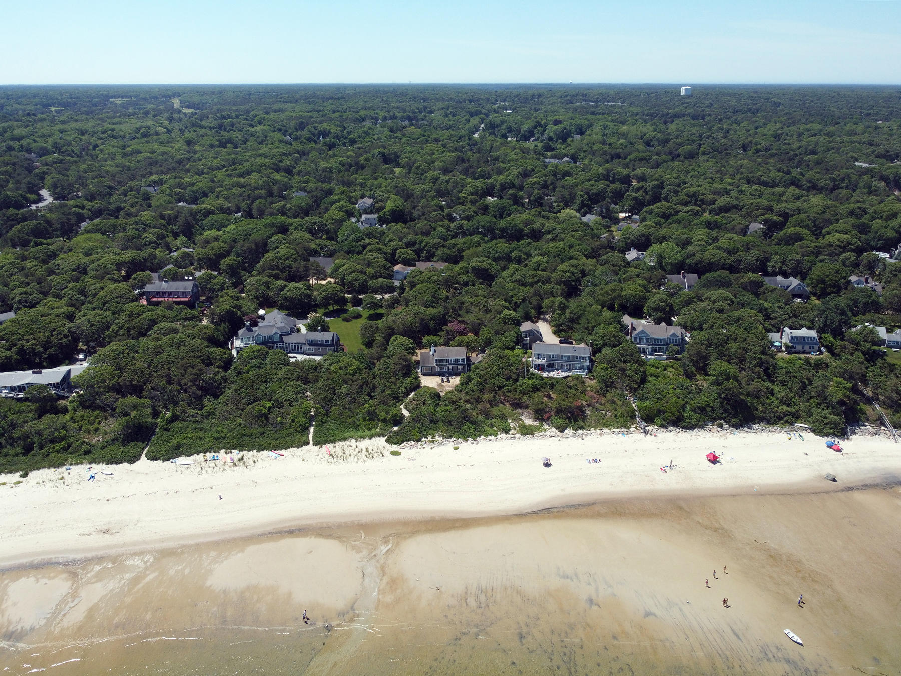 195 Cathedral Road Brewster, MA 02631 - Photo 47 of 54 a view of yard