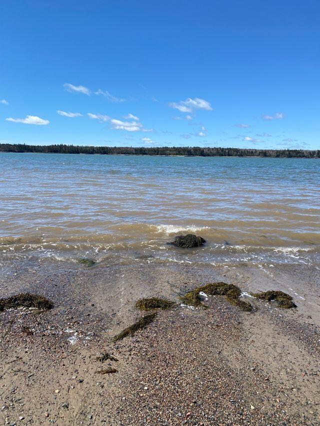 Lot 17 Yoho Head Road Machiasport, ME 04655 - Photo 11 of 24 Ocean View & Beach