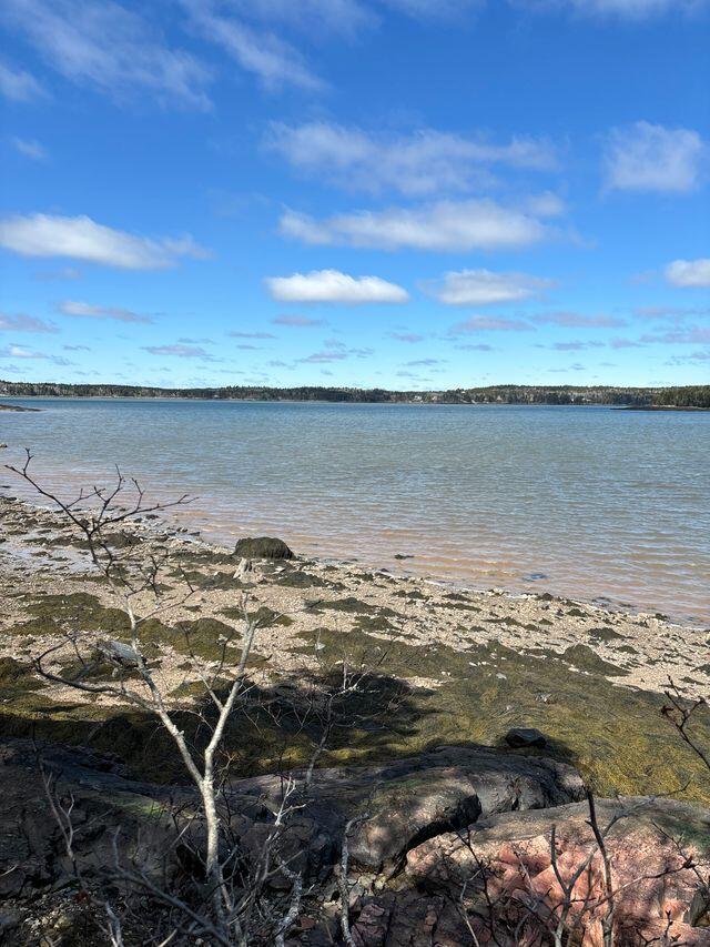 Lot 17 Yoho Head Road Machiasport, ME 04655 - Photo 12 of 24 Ocean View & Beach