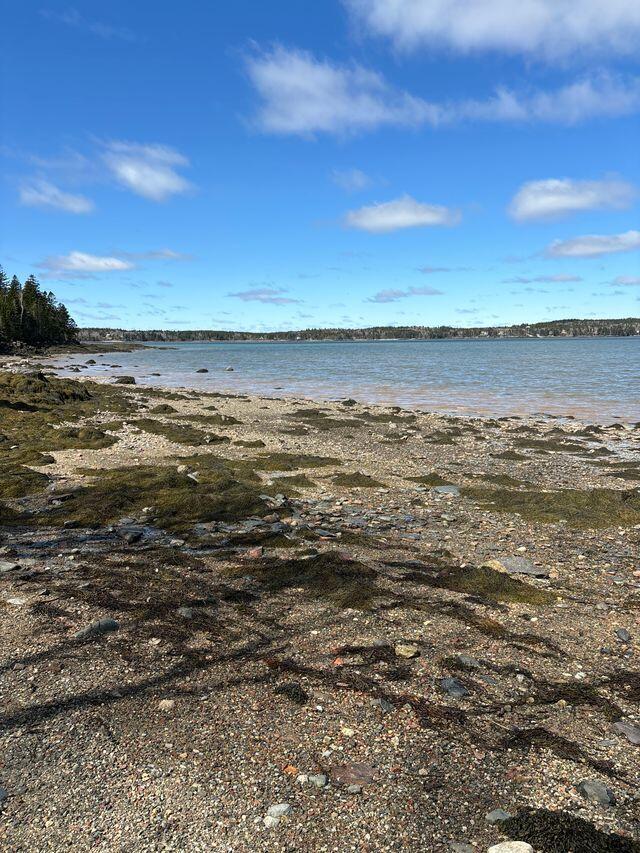 Lot 17 Yoho Head Road Machiasport, ME 04655 - Photo 13 of 24 Ocean View & Beach