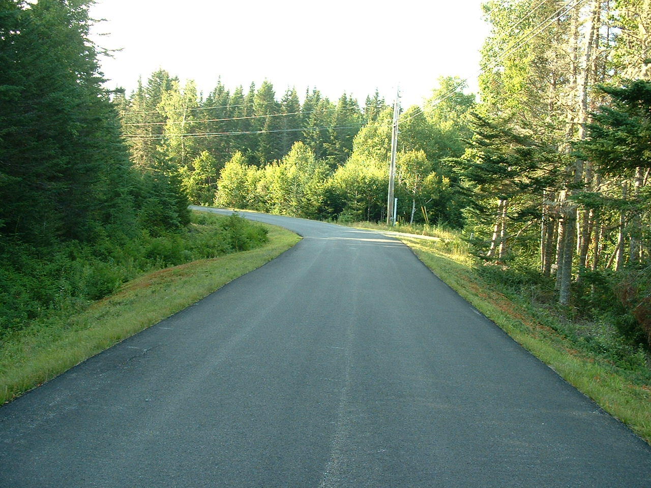 Lot 17 Yoho Head Road Machiasport, ME 04655 - Photo 21 of 24 Yoho Head Road