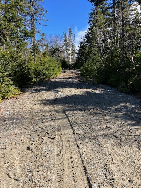 Lot 17 Yoho Head Road Machiasport, ME 04655 - Photo 6 of 24 Partial Driveway