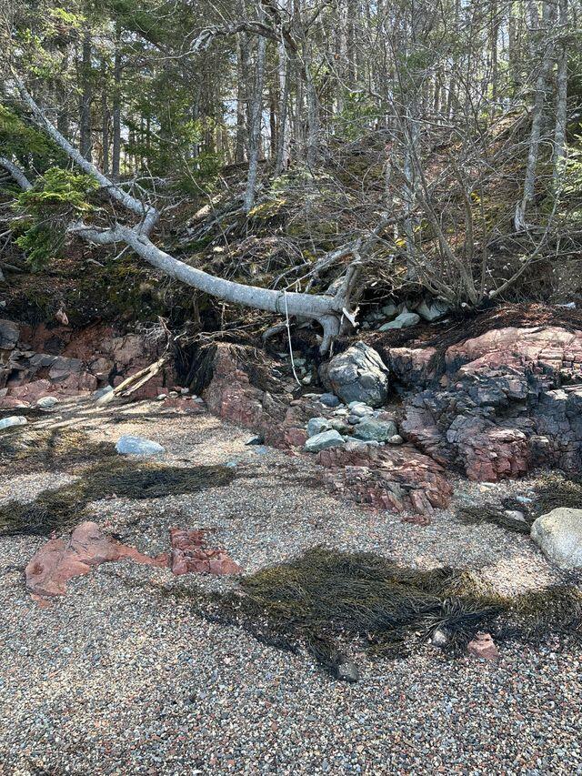 Lot 17 Yoho Head Road Machiasport, ME 04655 - Photo 9 of 24 Pocket Beach