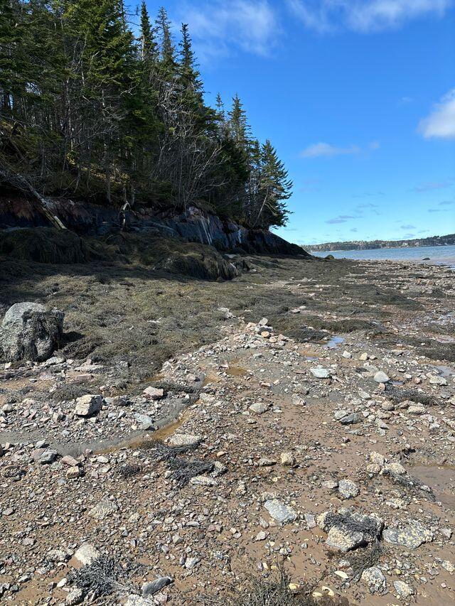 Lot 17 Yoho Head Road Machiasport, ME 04655 - Photo 10 of 24 Beach & Shoreline