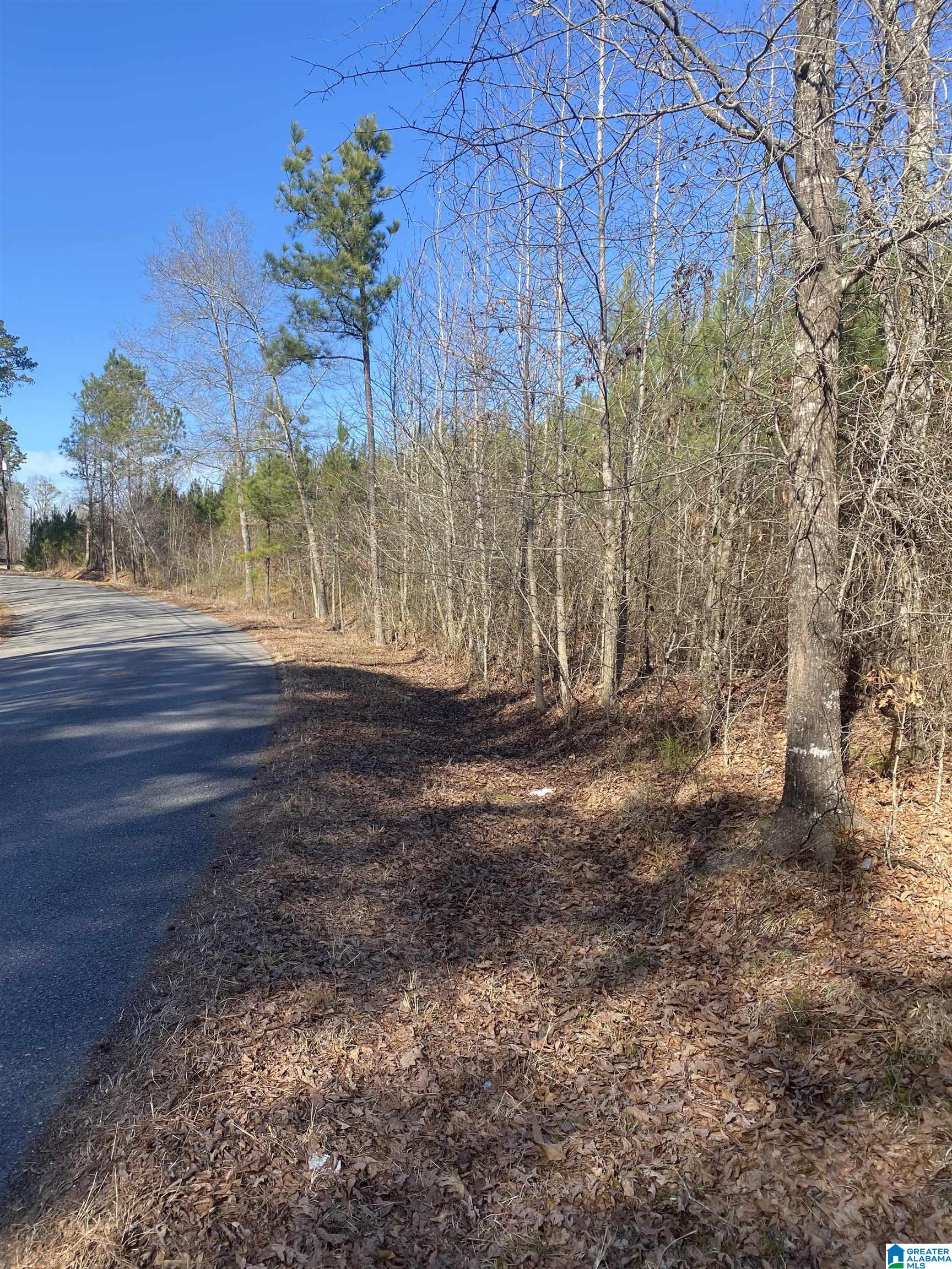 Center Hill Road Locust Fork, AL 35097 - Photo 2 of 3