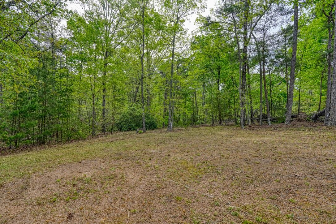 1810 Skunk Hollow Road Campobello, SC 29322 - Photo 29 of 50
