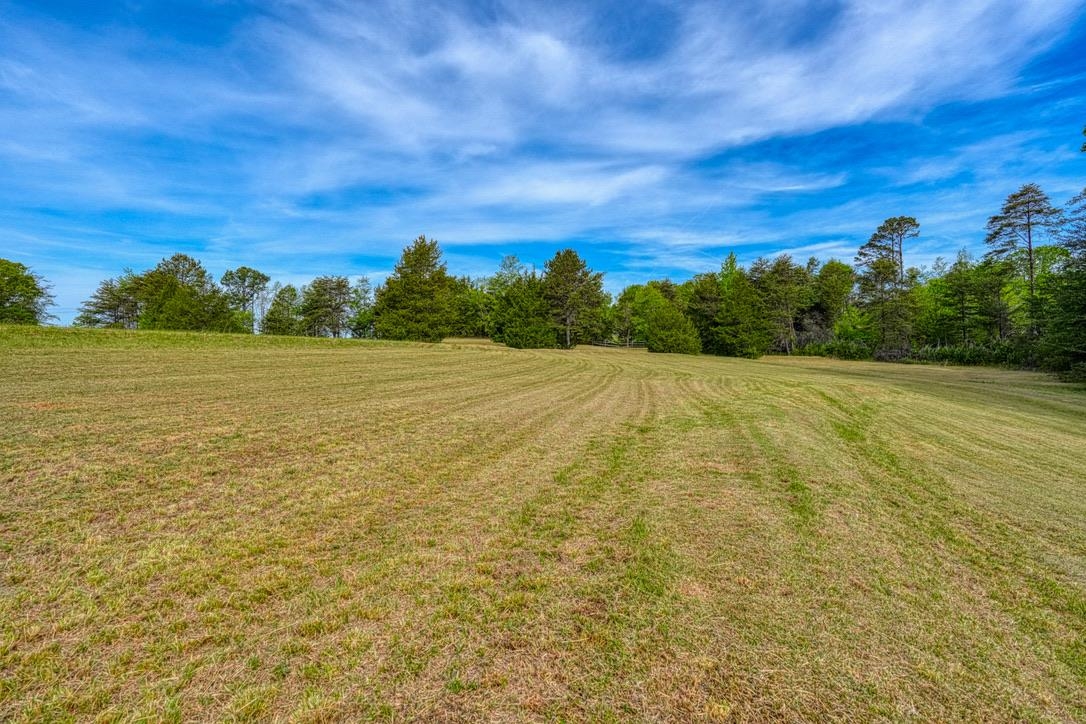 1810 Skunk Hollow Road Campobello, SC 29322 - Photo 32 of 50