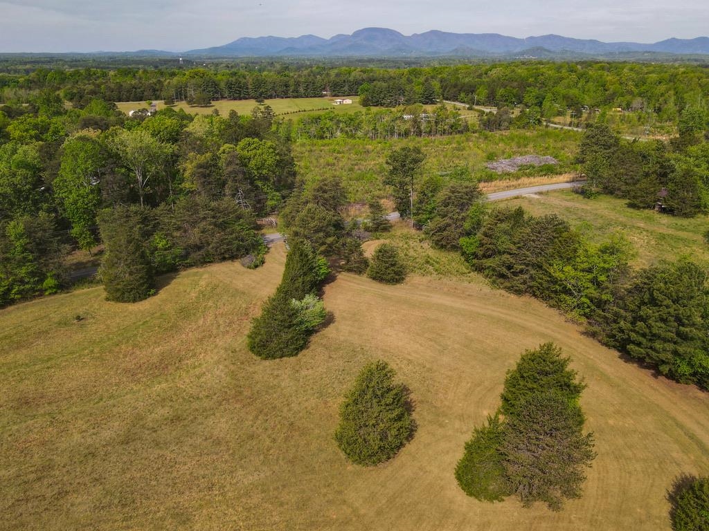 1810 Skunk Hollow Road Campobello, SC 29322 - Photo 35 of 50