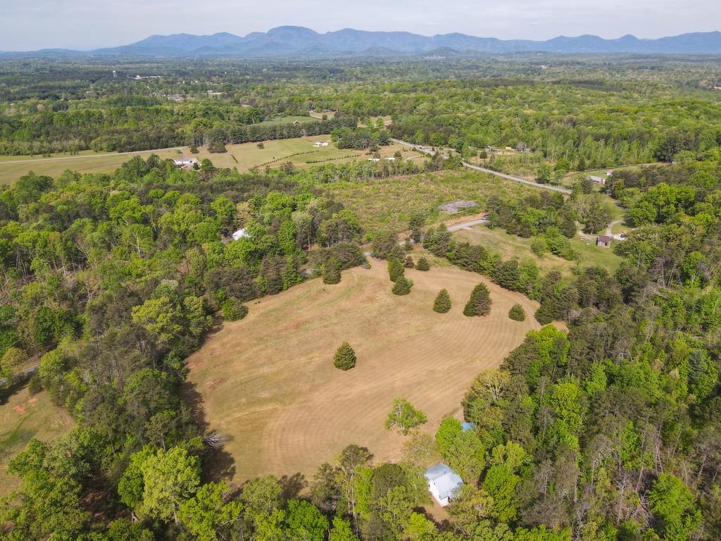 1810 Skunk Hollow Road Campobello, SC 29322 - Photo 43 of 50