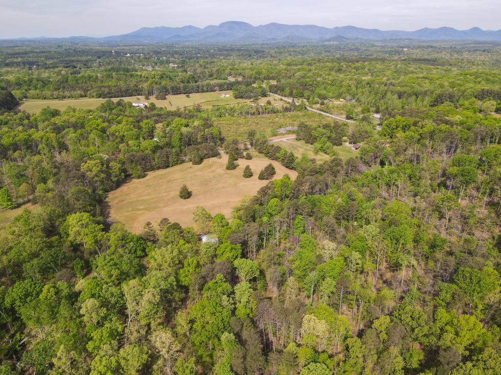 1810 Skunk Hollow Road Campobello, SC 29322 - Photo 44 of 50