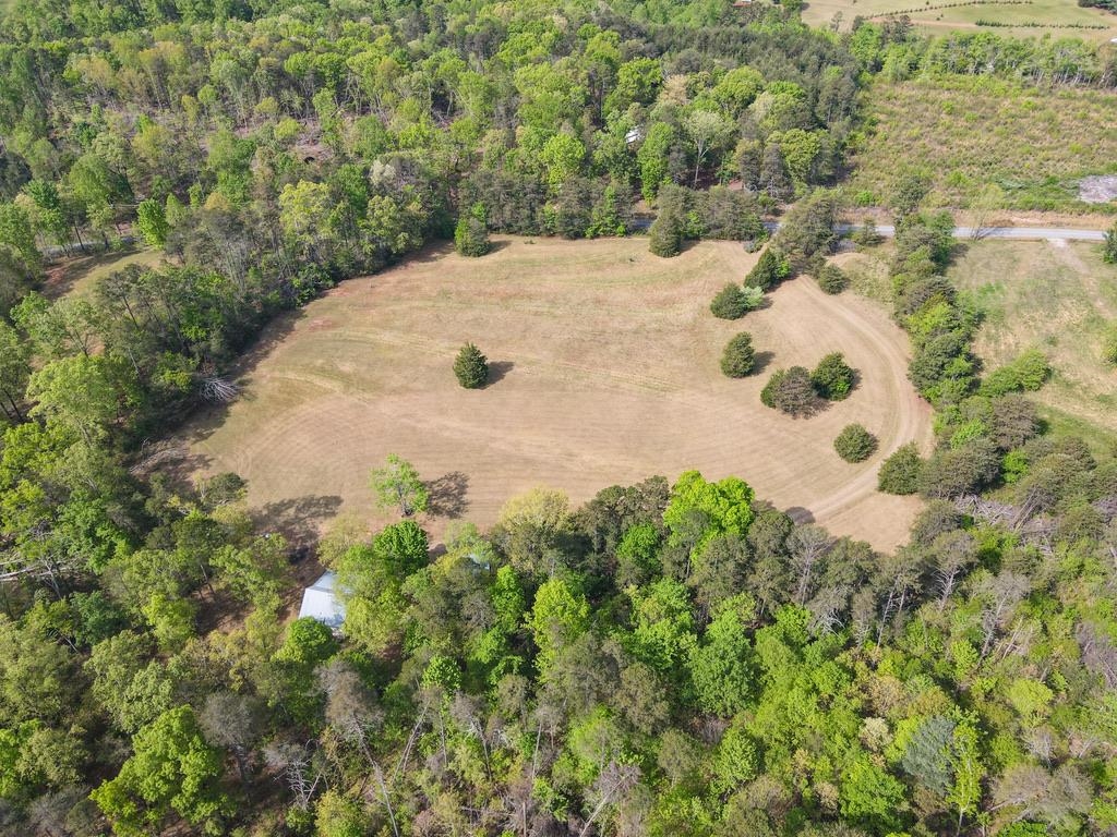 1810 Skunk Hollow Road Campobello, SC 29322 - Photo 45 of 50