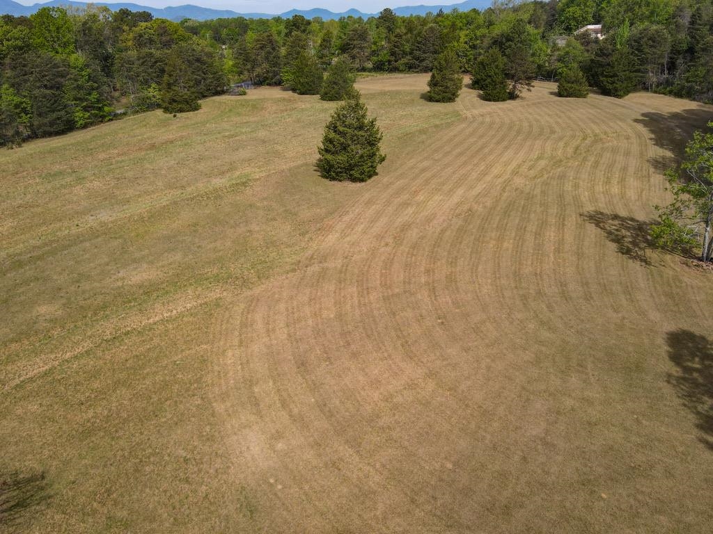 1810 Skunk Hollow Road Campobello, SC 29322 - Photo 49 of 50
